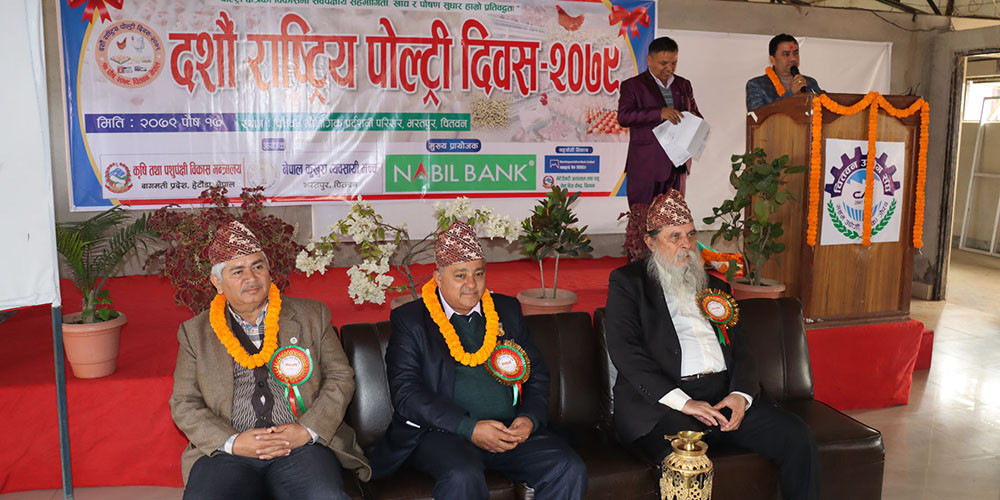 सन्दर्भ राष्ट्रिय पोल्ट्री दिवस : व्यवसायी भन्दछन् ‘हाम्रो समस्या सुन्ने र बुझ्ने कोही भएनन्’